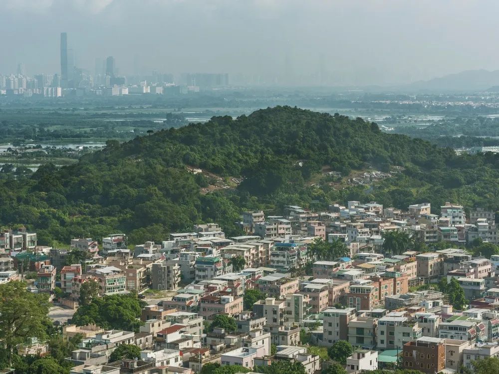 A Ultimate Guide to Renting a Village House In Tai Mo Shan - 1