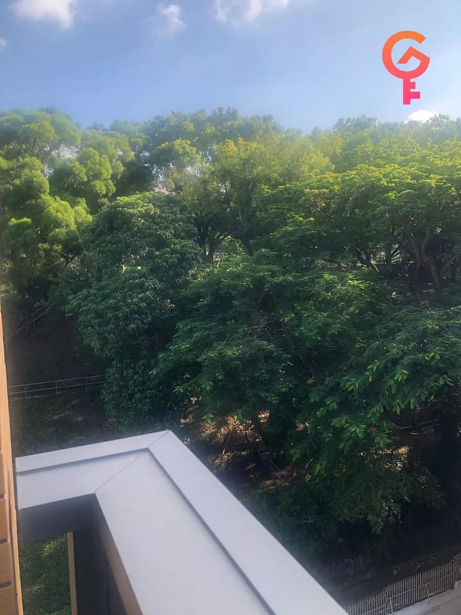晟林 - 10