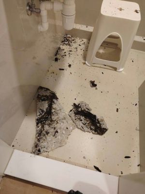 Concrete Collapse in New Home Reveals Cosmetic Flat Trap - 5