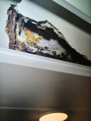 Concrete Collapse in New Home Reveals Cosmetic Flat Trap - 4
