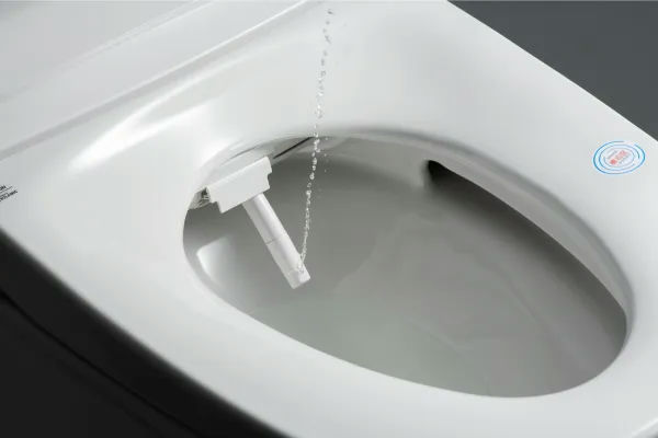 Smart Toilet Buying Tips: Avoid Common Pitfalls - 7
