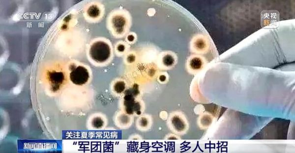 【洗冷氣機】冷氣停用半年直接開險致命 男子染退伍軍人症被送ICU 附DIY洗冷氣簡易指南 - 2