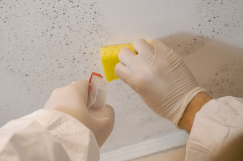 【牆身發霉】用漂白水超錯!? 拆解常見除霉謬誤 教你正確根治方法 - 4