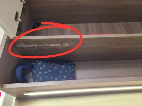 【裝修中伏實錄】港女11萬搵內地公司訂製傢俬慘遇「照騙」老夫婦遇爛尾工程痛失9萬養老金 - 2