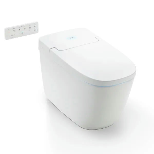 Smart Toilet Buying Tips: Avoid Common Pitfalls - 6