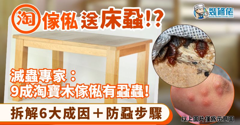 【網購傢俬注意】淘寶傢俬送床蝨!? 滅蟲專家：9成淘寶木傢俬有蝨蟲! 拆解6大成因＋防蝨步驟 - 1