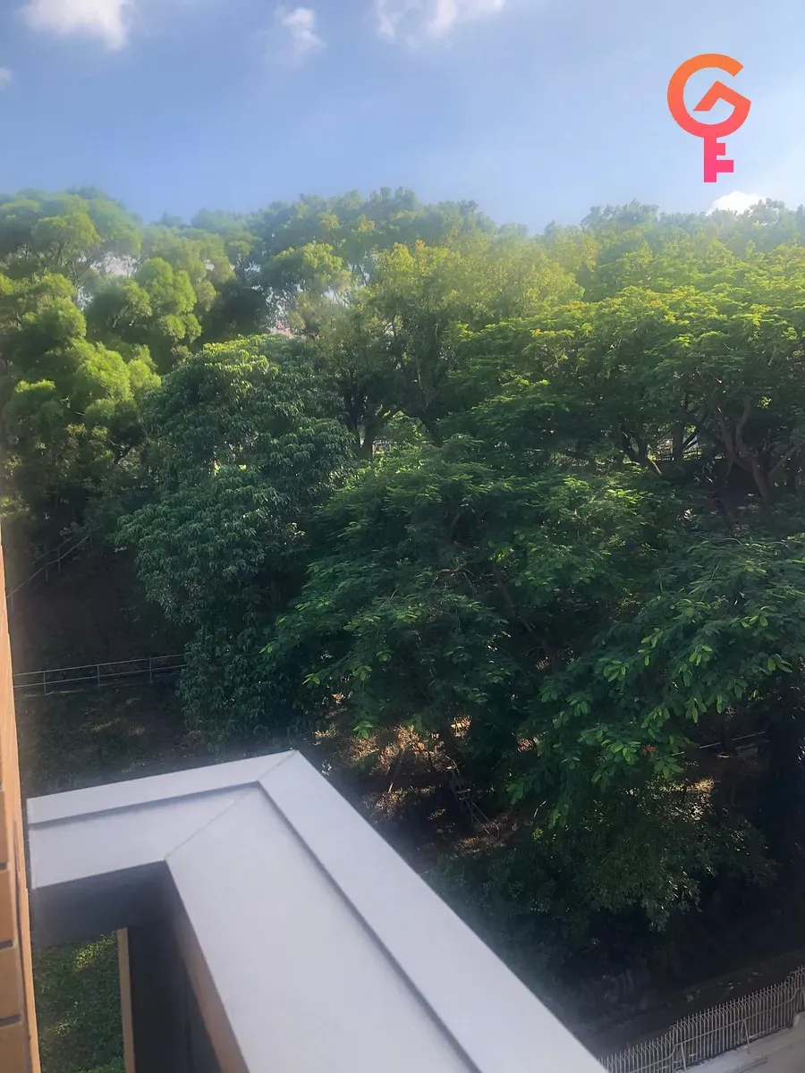 晟林 - 10