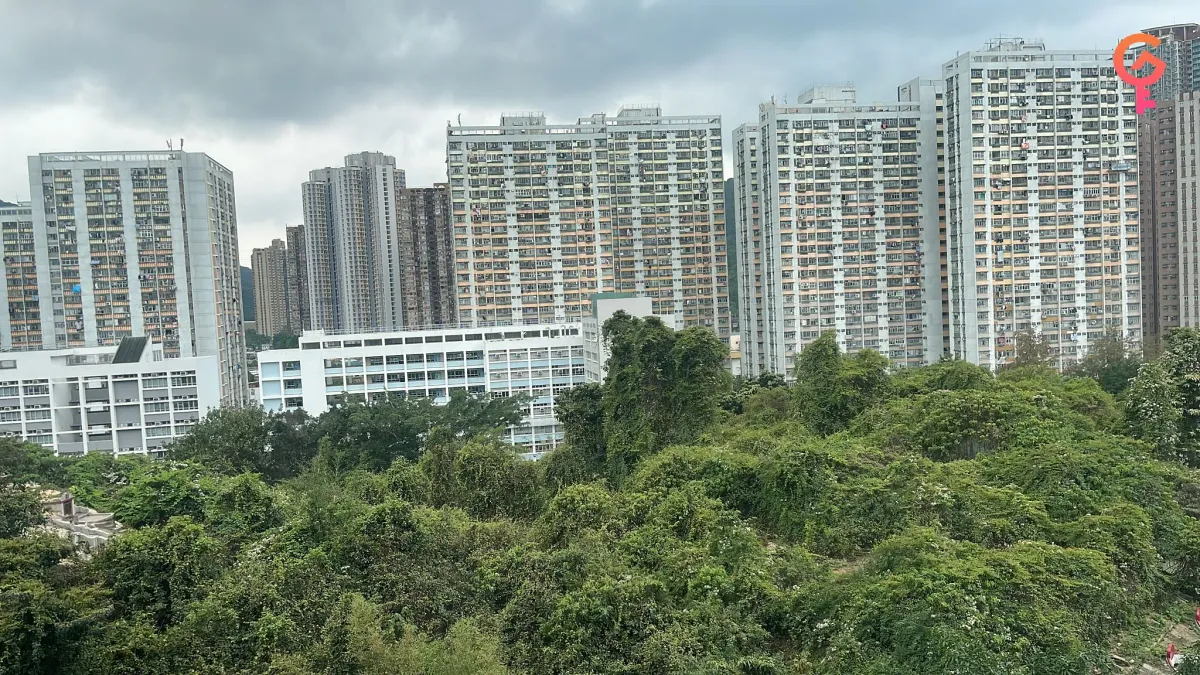 景田苑冰心閣（C座） - 6