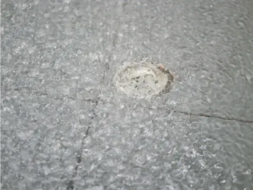 Shower Curb Drainage: Causes and DIY Fixes - 7