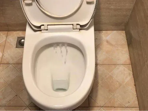 Toilet Leak Troubleshooting Guide - 6