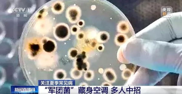 【洗冷氣機】冷氣停用半年直接開險致命 男子染退伍軍人症被送ICU 附DIY洗冷氣簡易指南 - 2