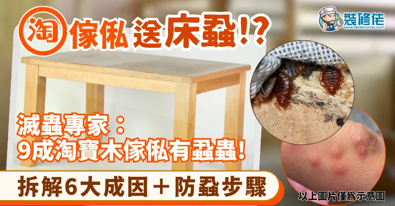 【網購傢俬注意】淘寶傢俬送床蝨!? 滅蟲專家：9成淘寶木傢俬有蝨蟲! 拆解6大成因＋防蝨步驟 - 1